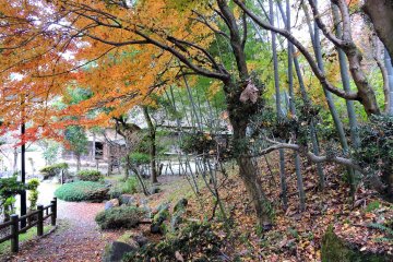 <p>Osagoe Folk Village is located at the foot of a hill filled with autumn color</p>
