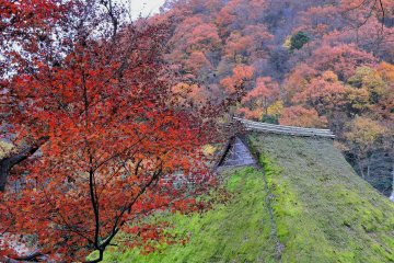 <p>Red leaves and green moss in the village, with the colorful mountain in the backdrop</p>