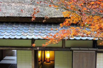 <p>Orange leaves glow almost as brightly as the lamp in the old Japanese house</p>