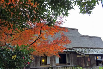 <p>A serene autumn day at a Japanese village</p>