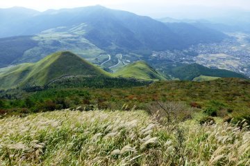 <p>A view down through the silver grasses of autumn to the valley below</p>