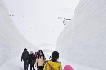 We could walk through another corridor of snow walls behind the building.  We got there by walking up the stairs in the building. Also, there is a great nature conservation center in this area.   
