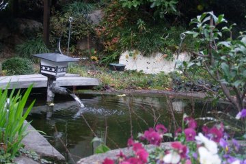 <p>Zen</p>