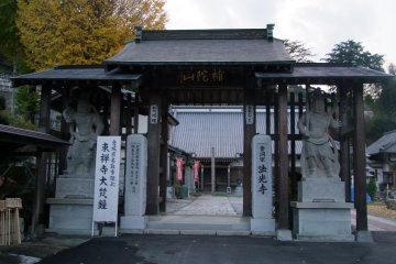 <p>Guardian "Nio" statues at the gate</p>