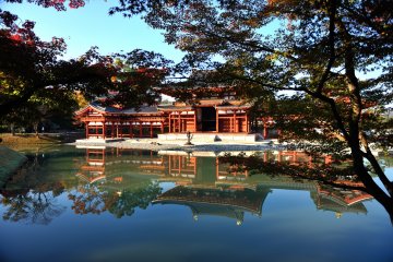 <p>The maple trees in front of the pond were not turning color yet</p>