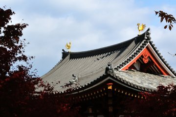 <p>The two phoenixes on the roof were replaced by replicas in 1968, and the genuine ones are safely kept somewhere else.</p>