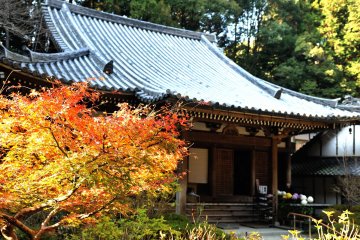 Three-Story Pagoda of Gansen-ji