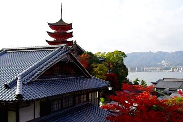Café “Kakiwai”