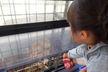 <p>Feeding the beasts</p>