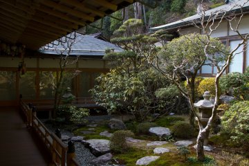 <p>The garden behind the temple; right in front of our room by the way.</p>
