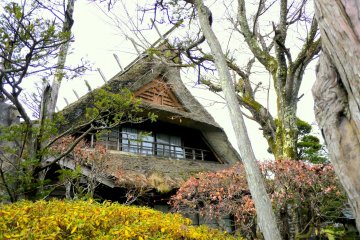 <p>The gable of a thatched house, almost hidden in the trees</p>