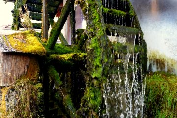 <p>Magnificently mossy water wheel</p>