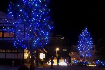 <p>All the lights are&nbsp;LEDs&nbsp;using small amounts of electricity</p>