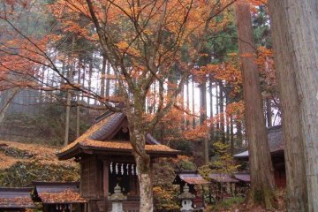 Autumn is the best time of year