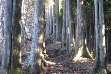 The nearby hiking trails are excellent