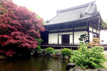 <p>Feel the peace of the garden in one of the many ponds, silent except for the sound of raindrops gently kissing the surface of the water.</p>