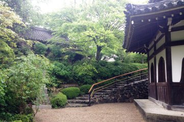 <p>Another tranquil moment.</p>