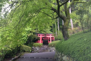 <p>Climbing one of the many steps to the temple.</p>
