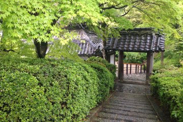 <p>One of the many steps to climb in this temple garden.</p>