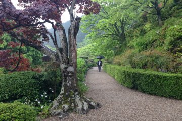 <p>No matter which path you take, you will encounter tranquility and some stunning views of the valley below.</p>