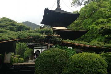 <p>One of the many temple buildings at Yoshimine dera in South western Kyoto.</p>