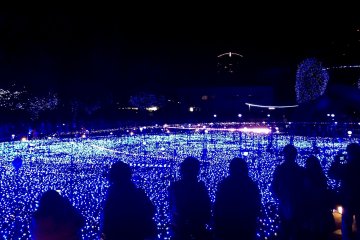 <p>Spectators silhouetted against the blue glow &nbsp;</p>