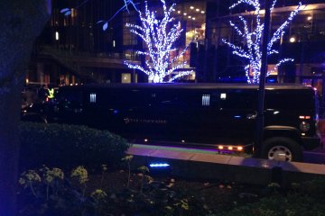 <p>A black stretch limousine gleams darkly beneath illuminated trees</p>