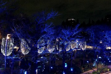 <p>Wine-glass shaped illuminations</p>