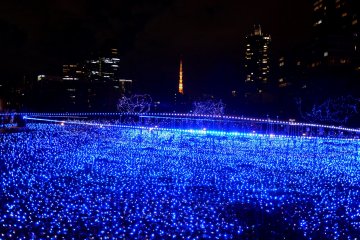 <p>Pulses of light make trails over the sea of blue light</p>