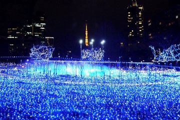 <p>Tokyo Tower glows warmly behind a sea of LED blue</p>