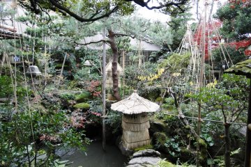 <p>A view of the garden, small but stunning</p>