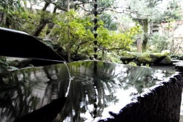 <p>A chozubachi (water basin) at the garden's edge</p>