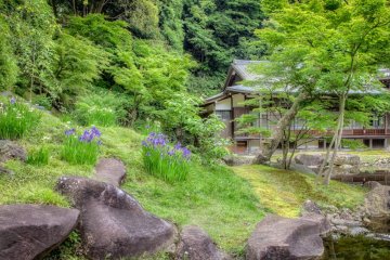 Hojo garden in spring
