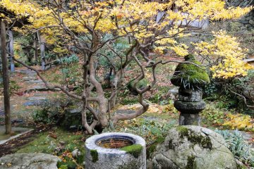 <p>A uniquely-shaped chozubachi(water basin) in the garden</p>