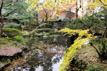 <p>The garden is lovely in autumn, and surprisingly deserted</p>