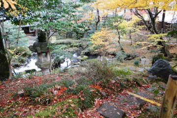 <p>A view of the lower level of the garden from on high</p>