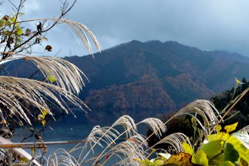 Autumn at Lake Miyagase