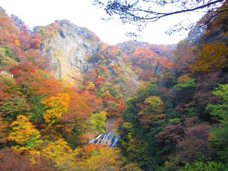 The golden hills of Daigo surrounding Fukuroda Falls in autumn