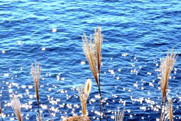 Echizen Beach in Early Autumn