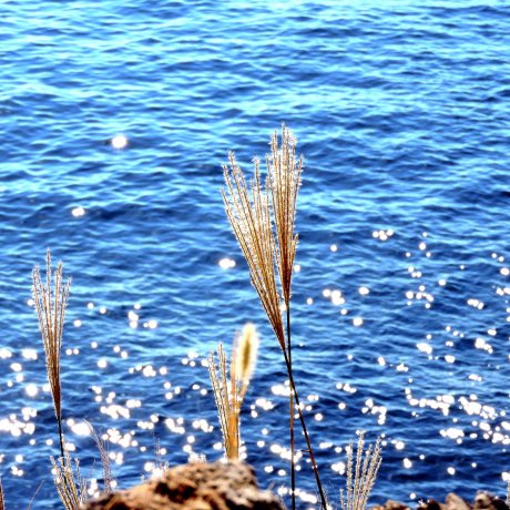 Echizen Beach