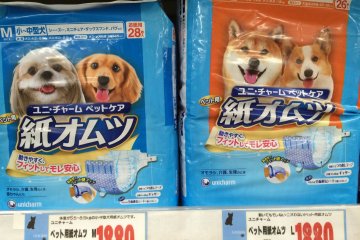 <p>Don't forget to pick up some diapers for your furry friend</p>
