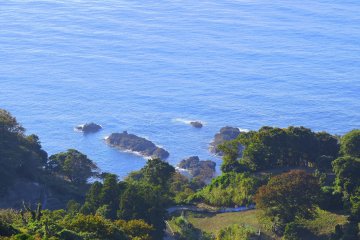 <p>Greenery on the hillside and rocks jutting out from the shore</p>