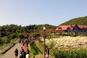 <p>Villa Floral.</p>