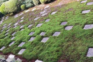 The Northern Garden.