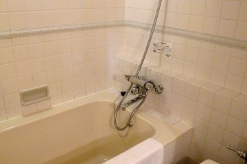 <p>The bathtub</p>