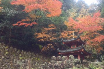 Otagi Nenbutsu-ji Temple, Kyoto