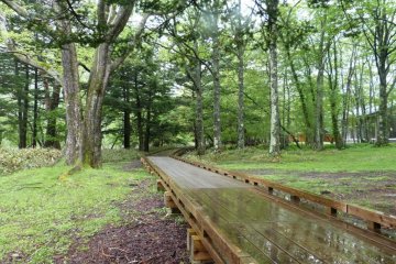 Wooden walkways like this one can be found here and there.