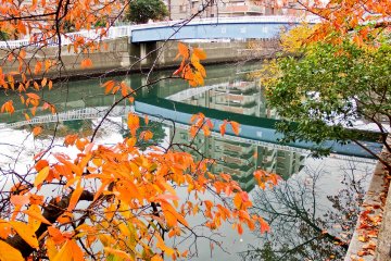 <p>Koganecho Bridge is one of several points along the river where you&rsquo;ll be treated to a multi-colored spectacle</p>