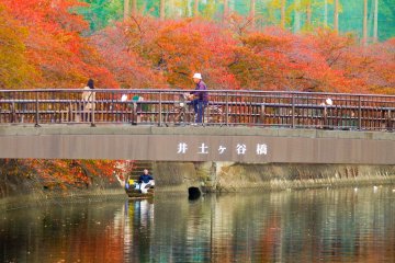 <p>A cyclist and a pedestrian admiring the bright autumn foliage along Idogaya Bridge</p>