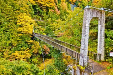 <p>Nearing the end! The Moueki Suspension Bridge provides one of the last great views of the hike. Okutama Station is now only a short walk away</p>